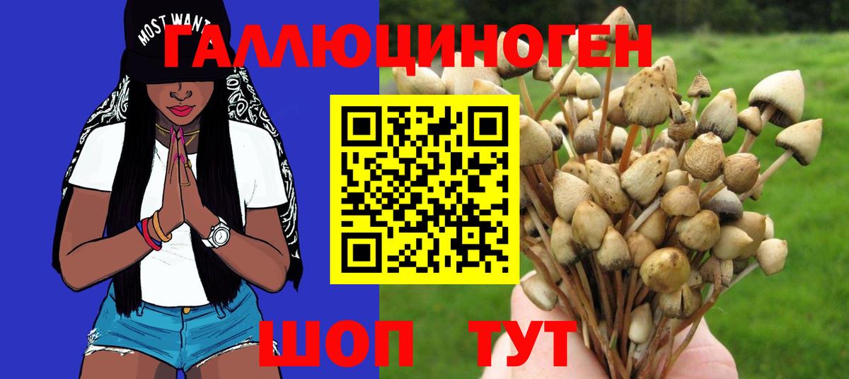 Псилоцибиновые грибы мицелий  Псилоцибиновые грибы MAGIC MUSHROOMS  Муром  Вход с VPN 