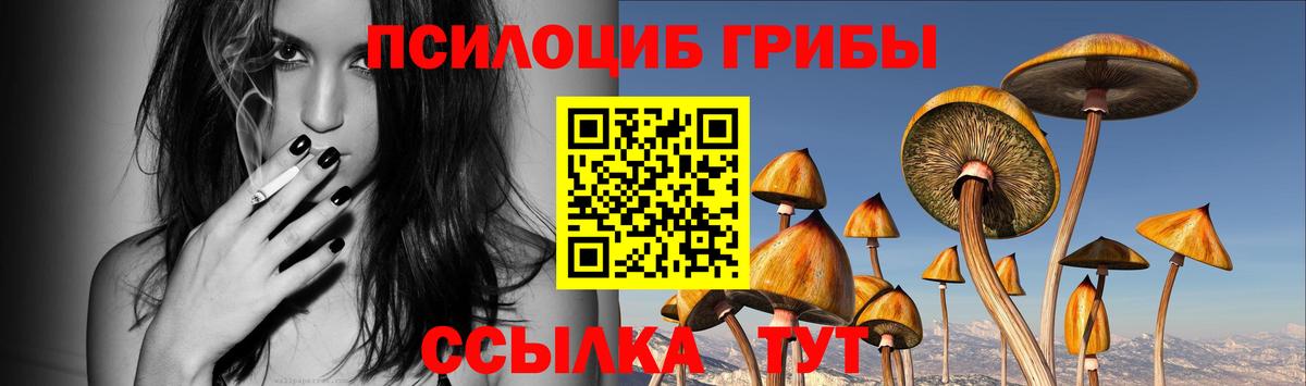 Конопля  ГЕРОИН  А ПВП СК кристаллы  Cocaine  ГАШ  Муром  Вход с VPN  Меф МЯУ МЯУ кристаллы 